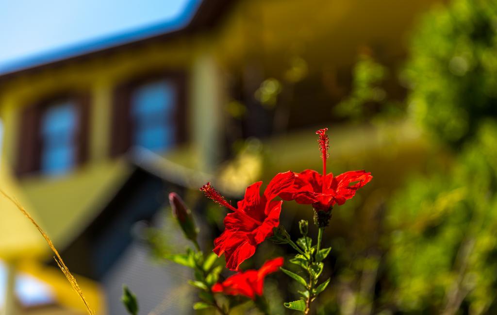 Marmaris Holiday Villas מראה חיצוני תמונה