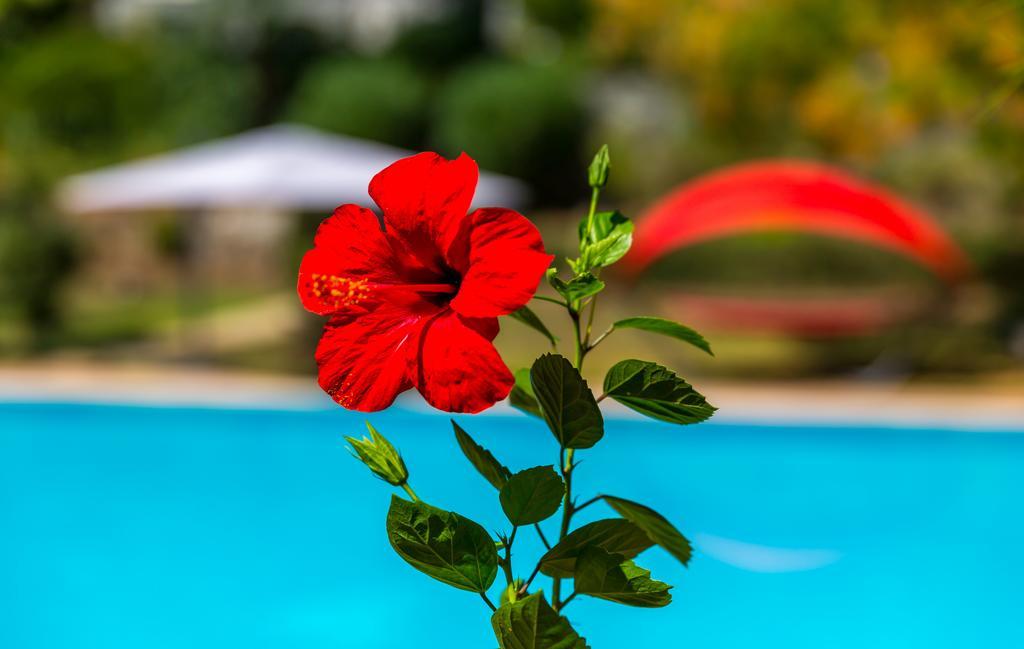 Marmaris Holiday Villas מראה חיצוני תמונה